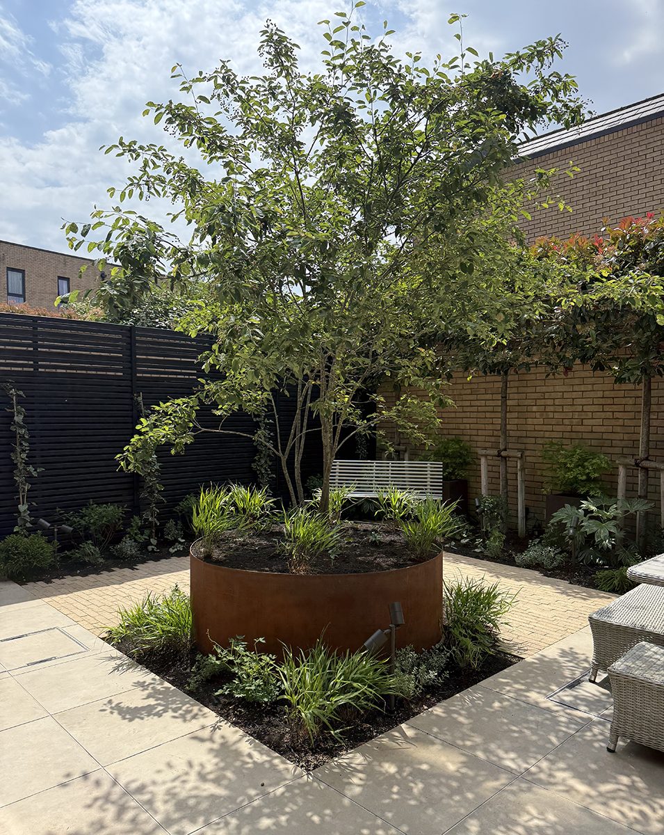 Courtyard Garden