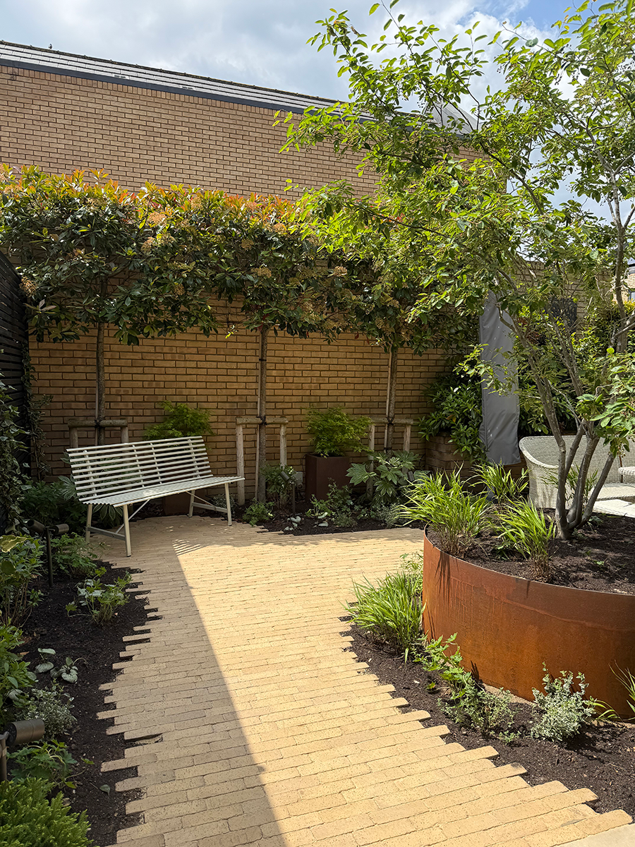 Courtyard Garden