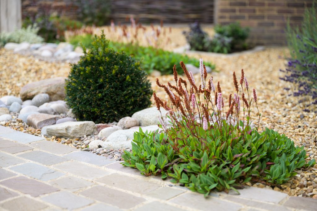 Mediterranean Garden
