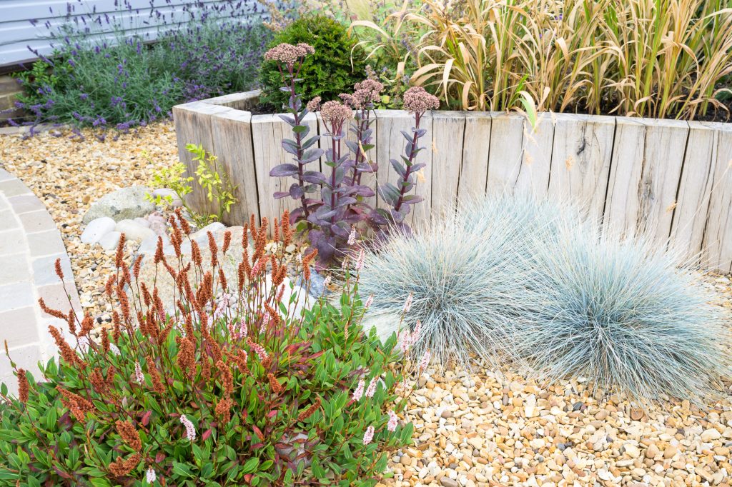 Mediterranean Garden